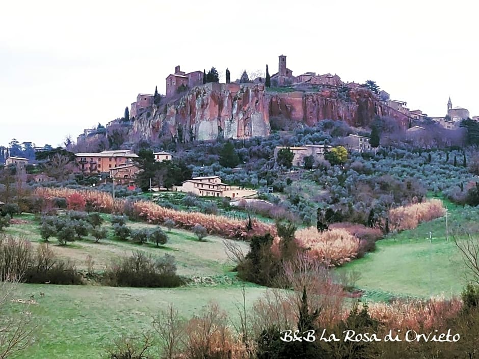 La Rosa di Orvieto