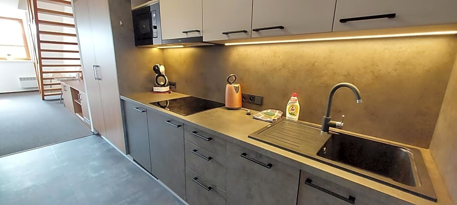 Wellness apartmány Říčky v Orlických horách