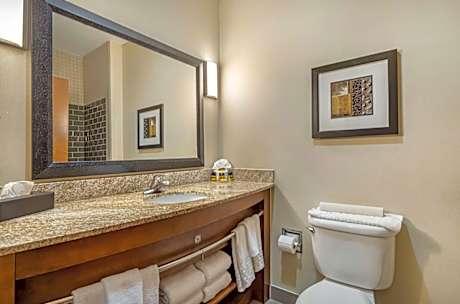 Suite-1 King 1 Queen, Non-Smoking, Two Room Apartment Suite, Kitchenette, Living Room, High Speed In