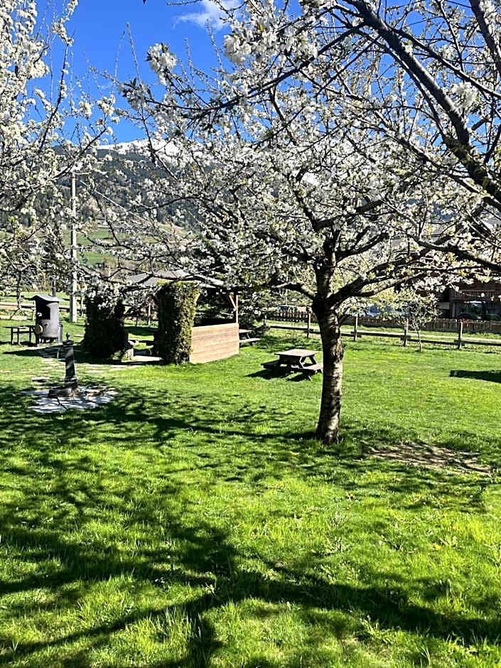 Chalet Stelle Di Neve