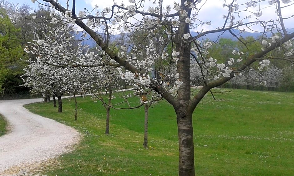 Albergo Rurale Parco di San Floriano