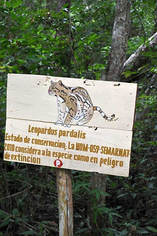 Eco Aldea kinich Ahau