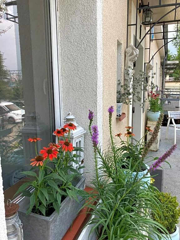 Villa Italiana pokoje z prywatnymi łazienkami & Odnowa Biologiczna