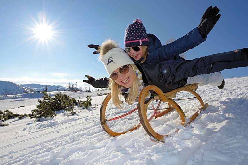 Panorama Hotel Traunstein