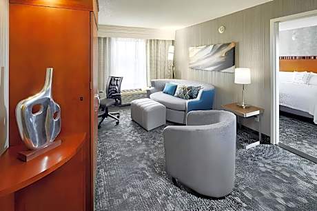 1 Bedroom Suite, 1 King, Sofa bed, River view