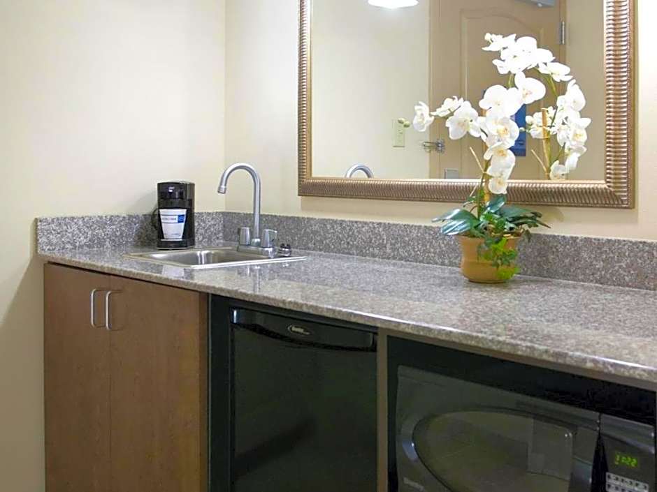 Hampton Inn By Hilton And Suites Savannah-Airport
