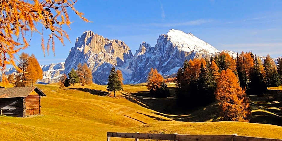 Camera Alpe di Siusi