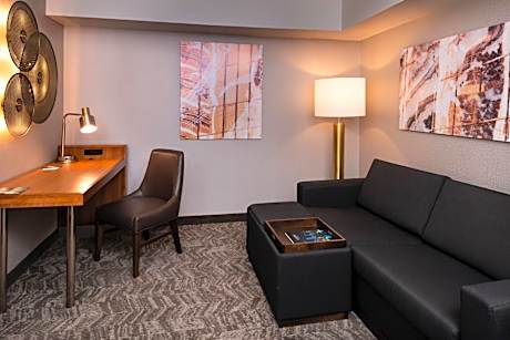 SpringHill Suites by Marriott Pittsburgh North Shore