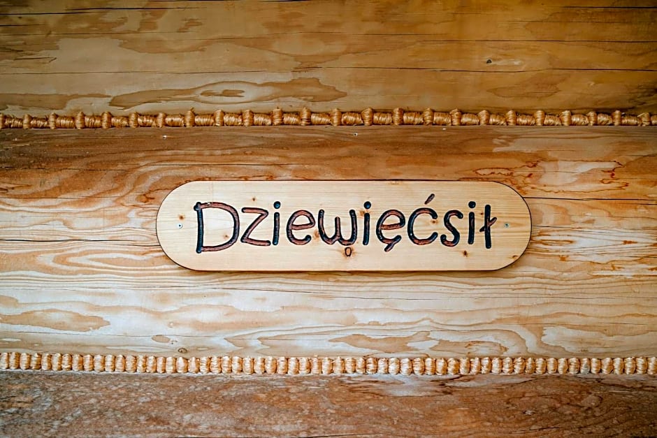 Osada Witów - dom „Dziewięćsił”