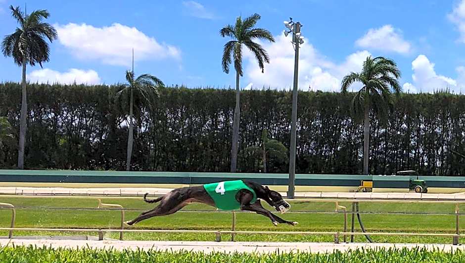 Magnuson Hotel Jacksonville Downtown