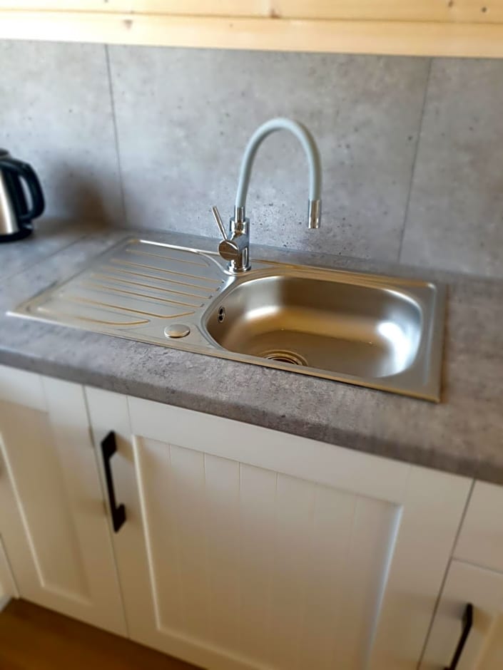 Szara Gąska w Gąskach