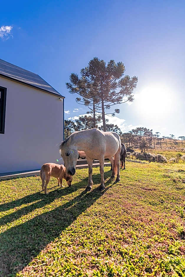 Morada Reino Encantado