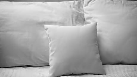 2 Queen Beds Nonsmoking