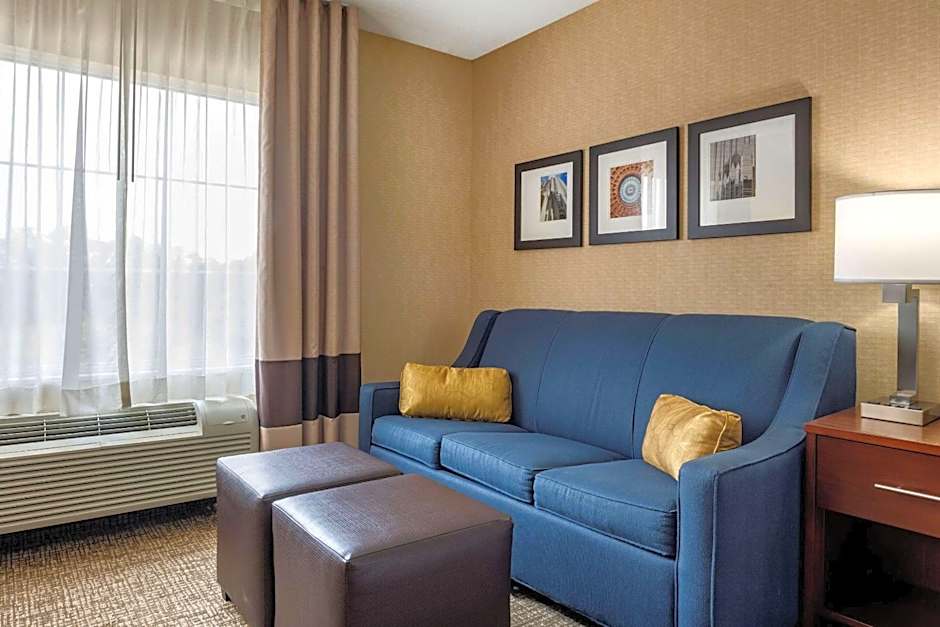 Comfort Inn Meadowlands
