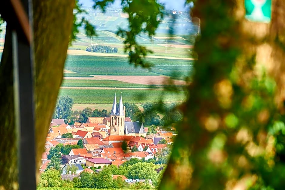 Dohlmühle Gästehaus & Weingut