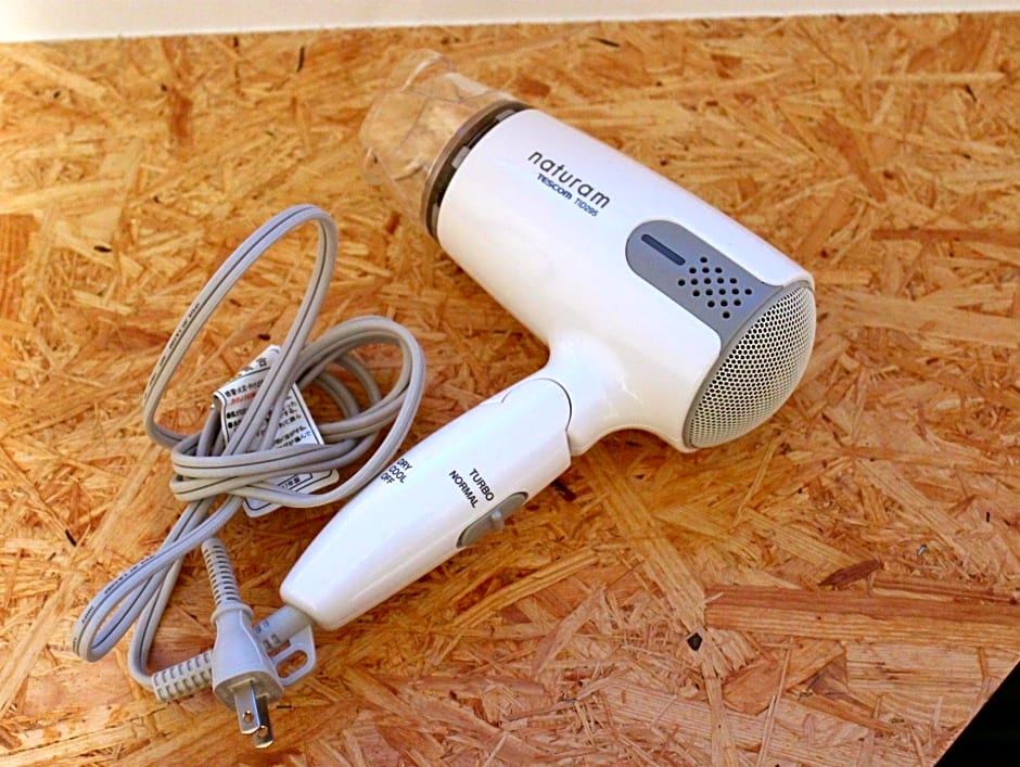 Nikko Station Hotel II