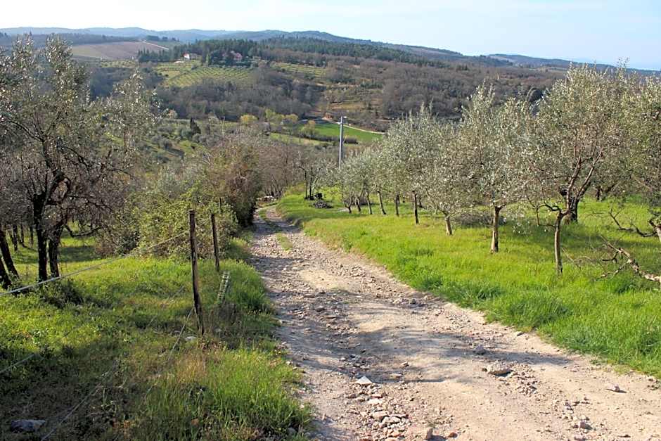 Le Terrazze Del Chianti