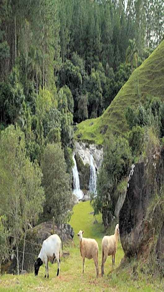 Pousada Dona Teresinha - São Bonifácio/SC