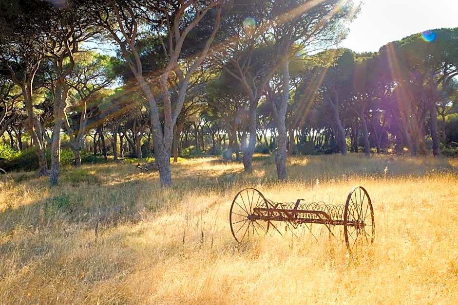 Residence La Canova II