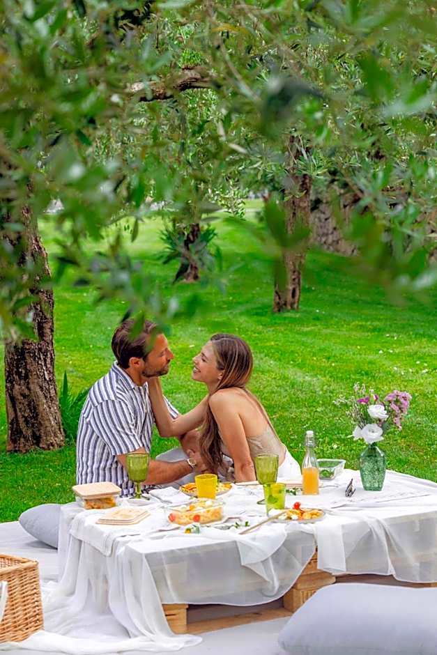 TreeLodgy, The Tree House