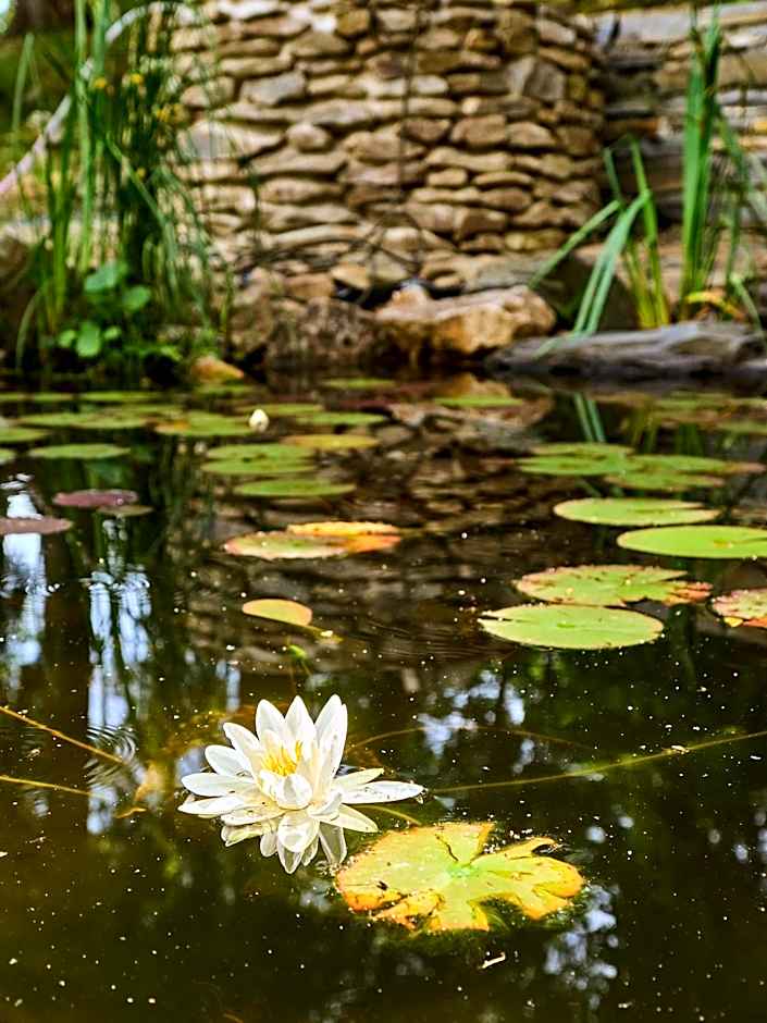 Boutique hotel & Wellness Spitzerova vila Eliška