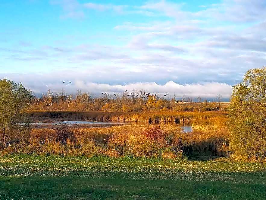 Lakes Inn at Dunvilla