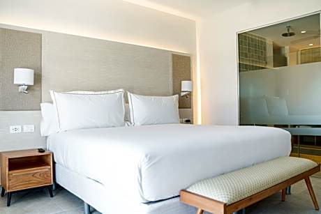 Senator Luxury Swim up ocean view