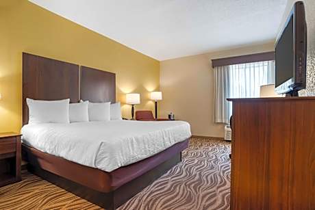 King Room with Roll-In Shower - Mobility Access