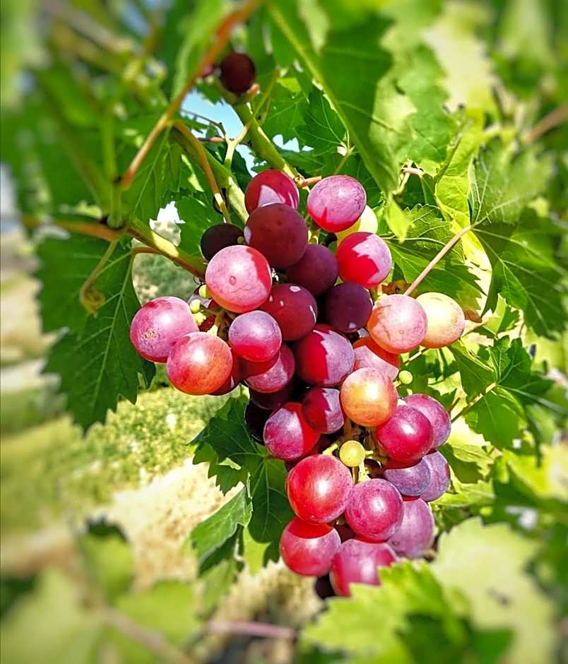 La mia Casa nelle Marche