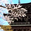 Minshuku Kuwataniya Ryokan