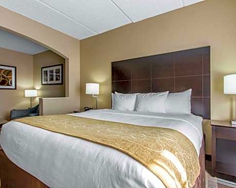 1 King Bed, Suite, Nonsmoking