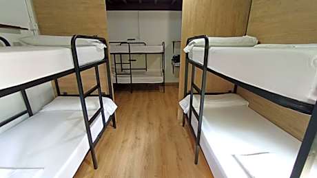 Bunk Bed in Mixed Dormitory Room