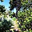 Pietrantica - Affittacamere con giardino NUOVA APERTURA a Trebiano -CITR
