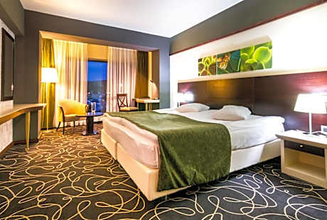 Standard Twin Room with Panoramic View
