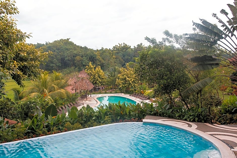 Damires Hills Tierra Verde