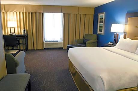 Premium King Room