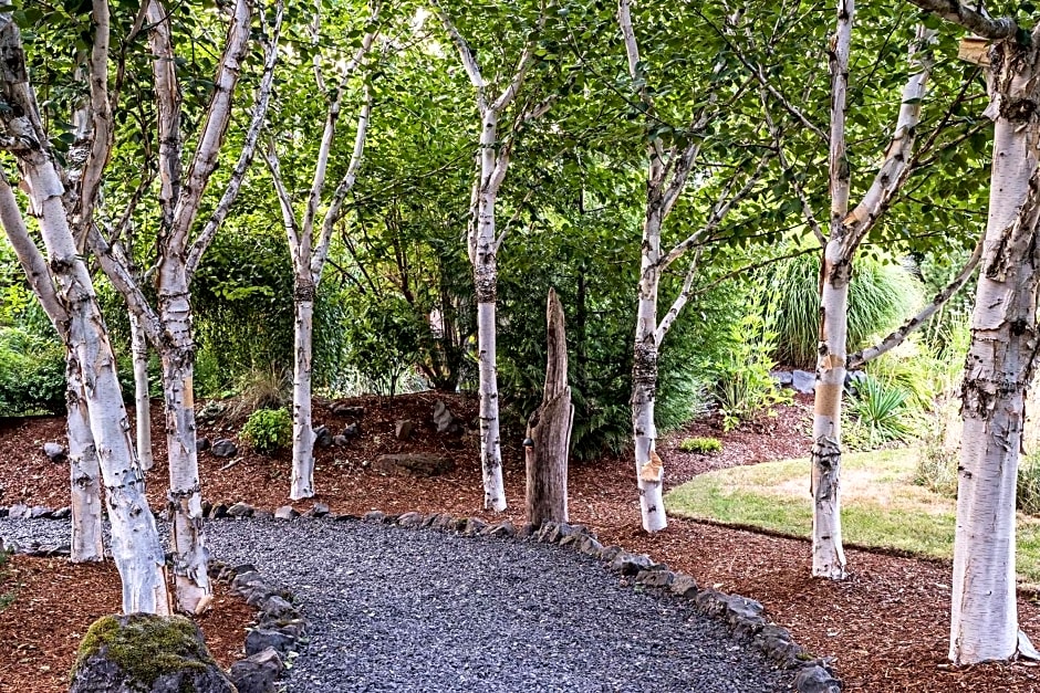 Carson Ridge Luxury Cabins
