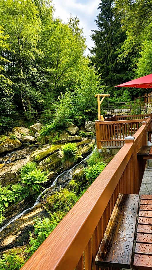 Waldgasthaus & Berghotel Steinerne Renne
