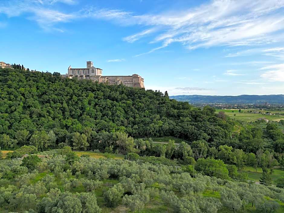 La Casa Tra Gli Ulivi