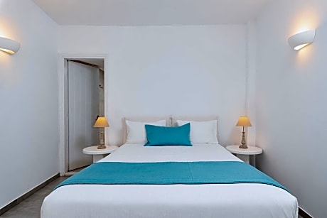 Double Room with Caldera View