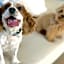 Marine House KAKISAKI - BBQ OK Pets OK