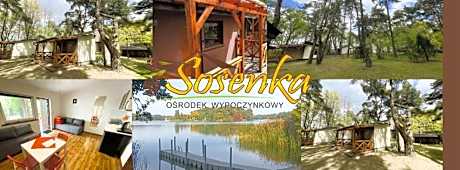 Sosenka Zaniemyśl
