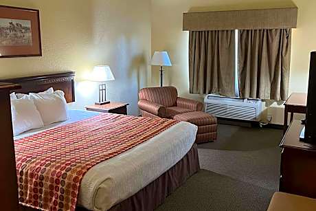 1 King Bed Pet-Friendly Non-Smoking