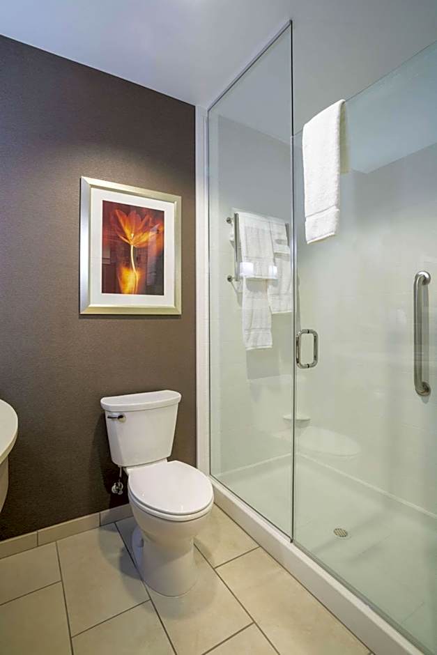 Hilton Garden Inn Sioux Falls Downtown