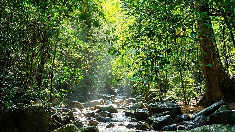 Kroque Boutique and Bistro Hotel