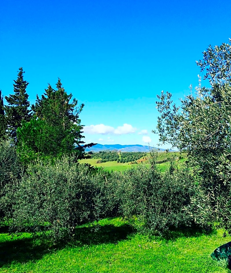 La Locanda del Barbagianni