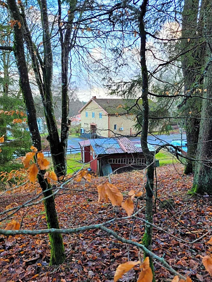 Bokskogens Guesthouse