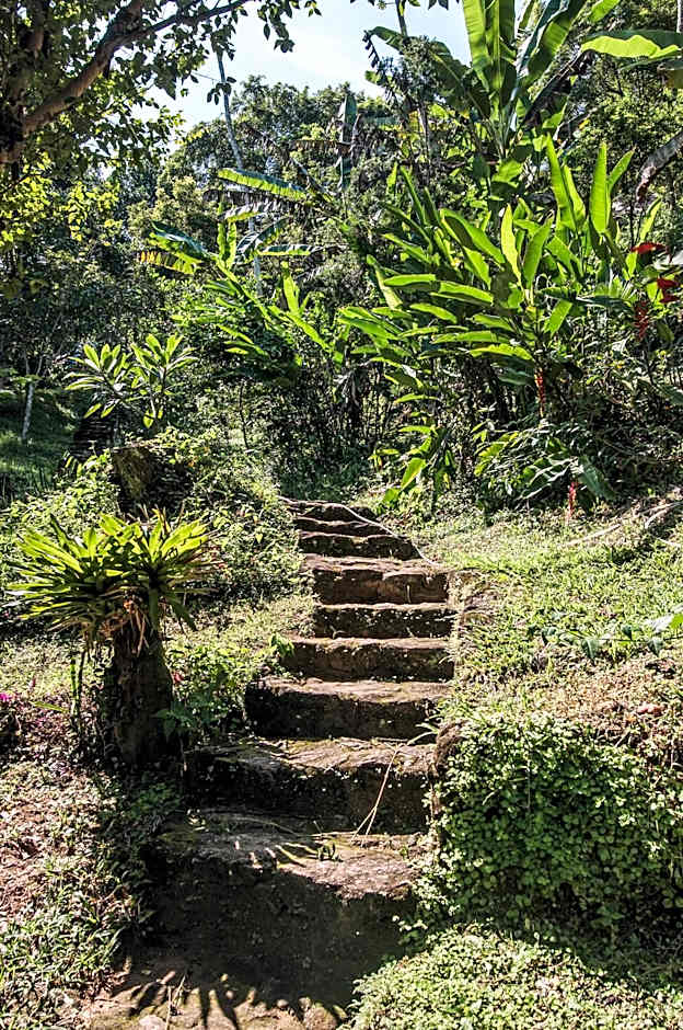 Ytororô O som das águas