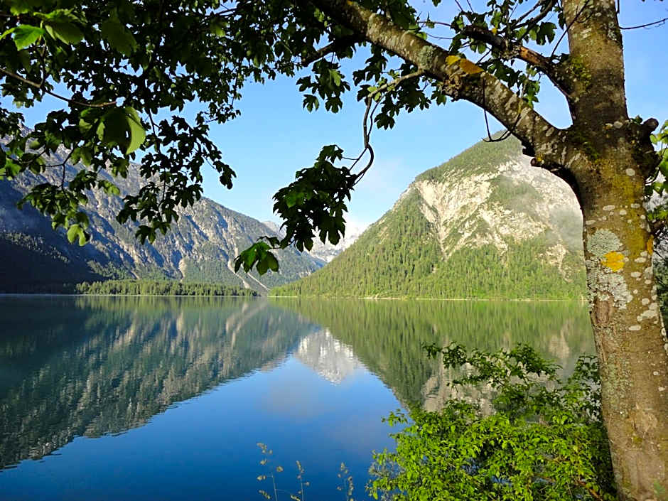 Alpenhotel Ammerwald