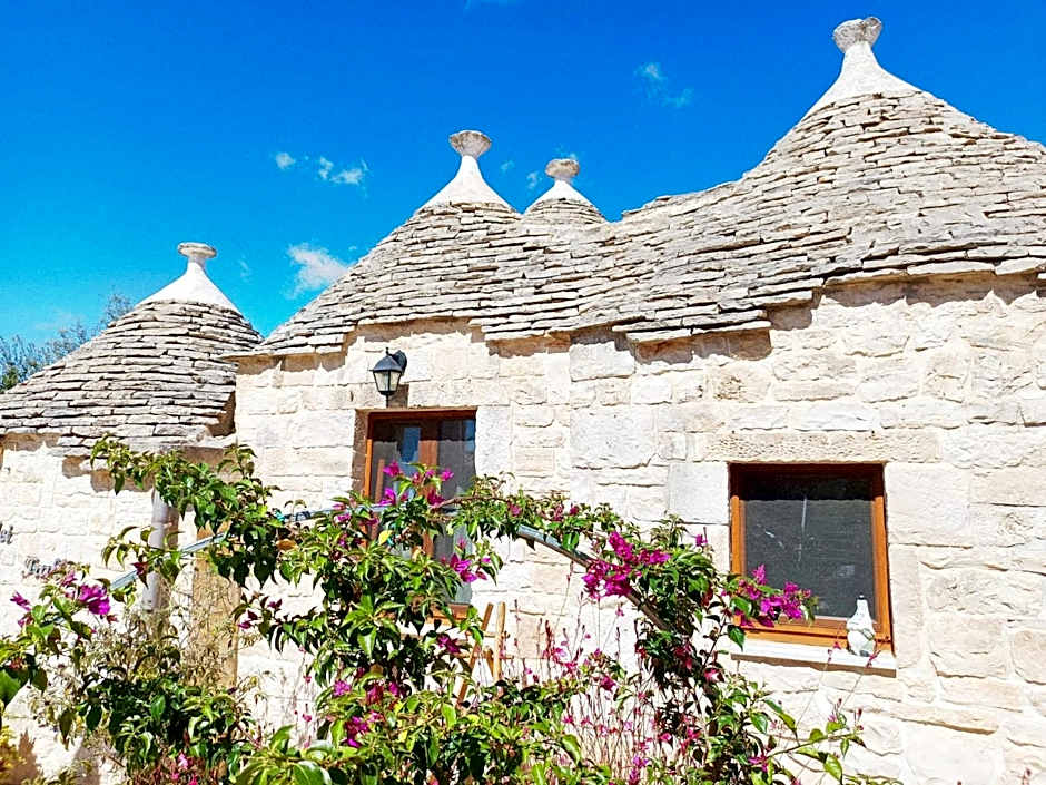 La Rosa dei Trulli B&B